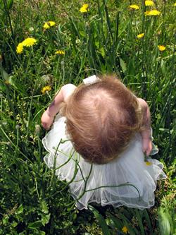 toddler girl in meadow looking at flowers