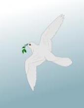 dove flying with olive branch in beak
